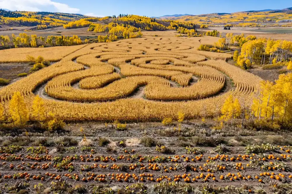 Pumpkin Patches Near Reno 2026: Top Farms, Mazes & Fall Fun