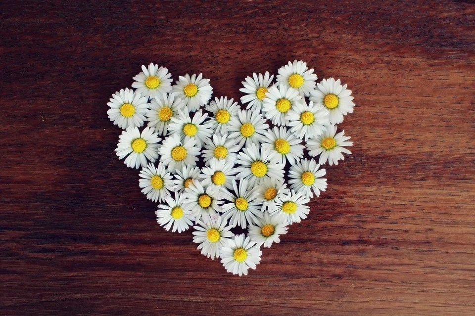 Valentine's Day Quotes