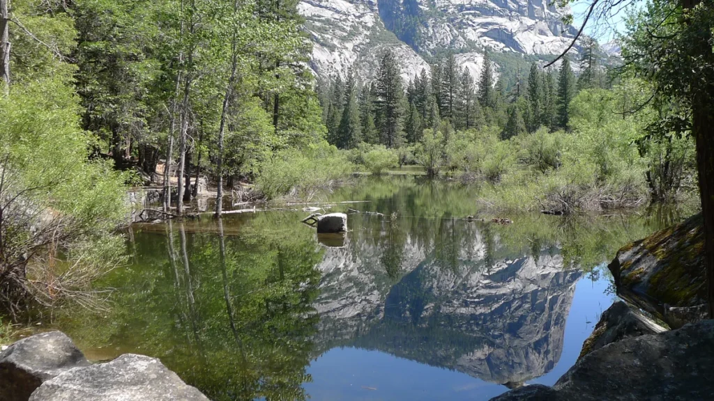 Granite cliffs and trees reflected in water in Yosemite Valley