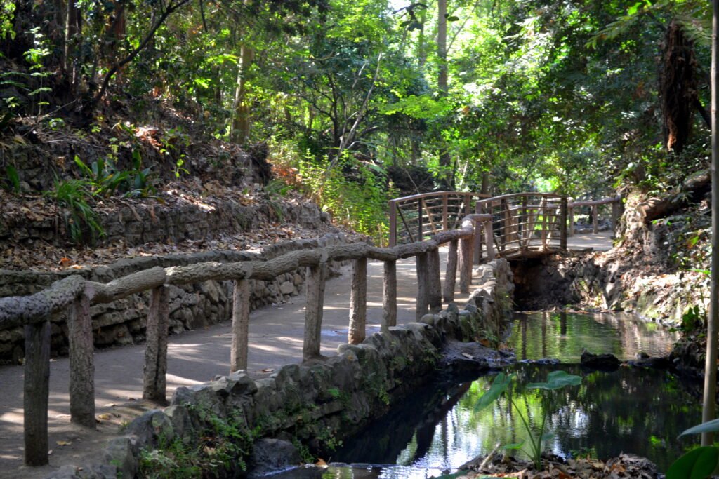 Ferndell in Griffith Park — Los Angeles Halloween event location