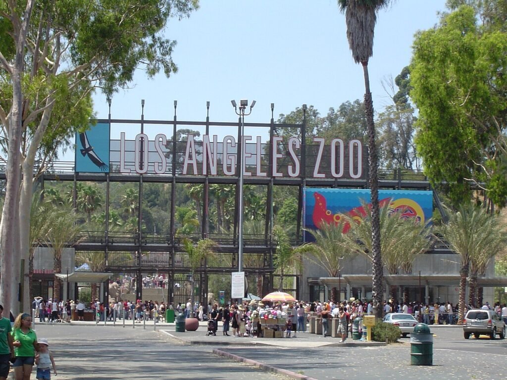 Los Angeles Halloween event location photo 7