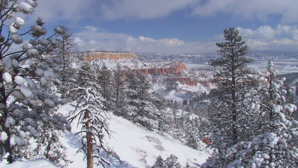 Snow-covered trees and canyon formations at Bryce Canyon