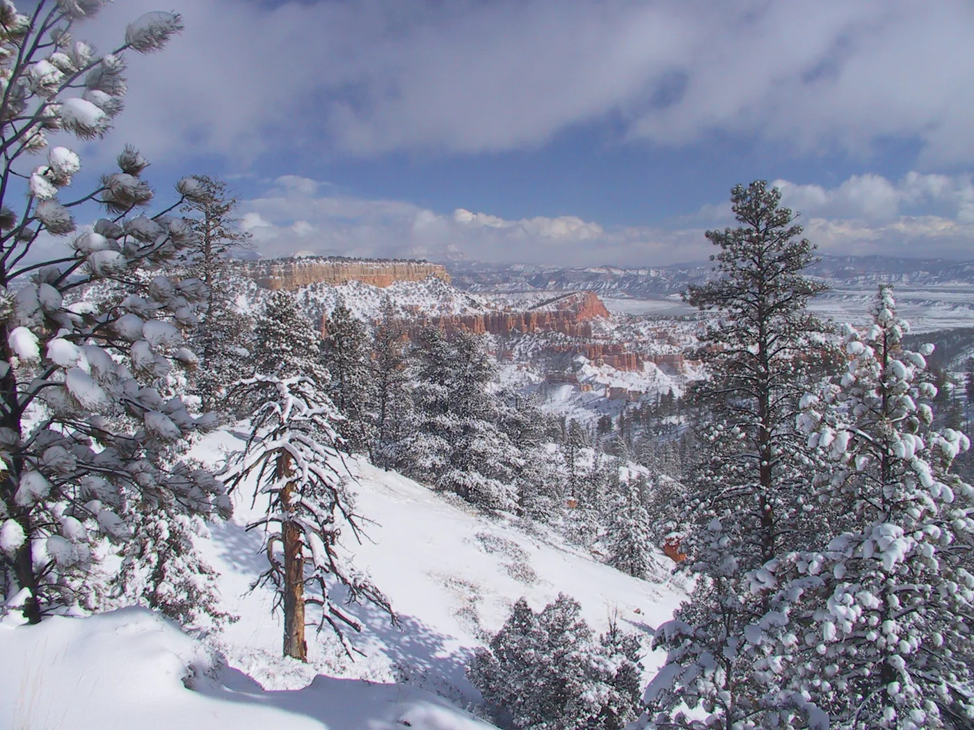Snow-covered trees and canyon formations at Bryce Canyon