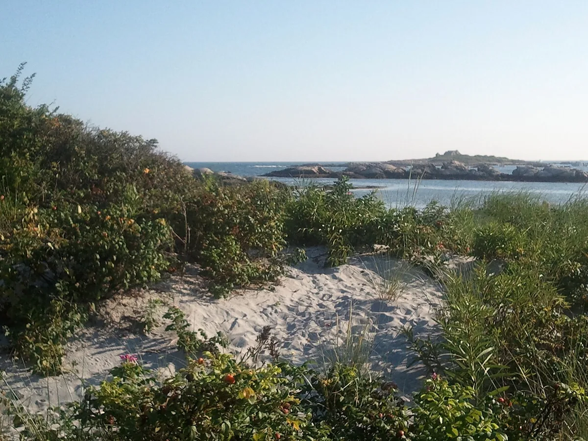 Rocky shoreline and Gooseberry Island seen from Newport’s Cliff Walk
