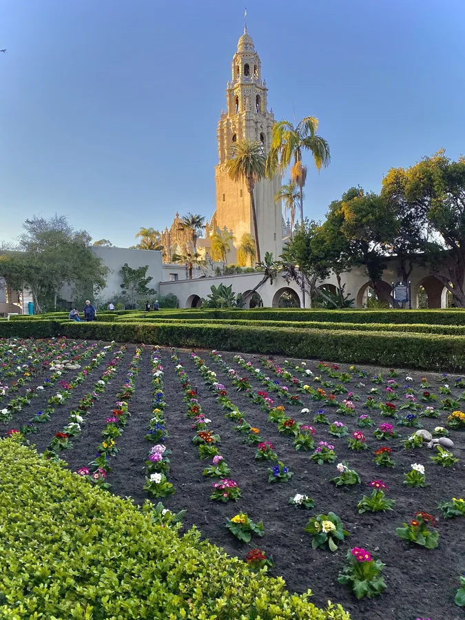 California Tower above formal flower beds in Balboa Park