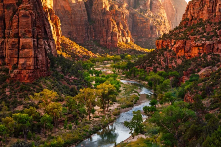 Zion National Park Guide: Angels Landing, The Narrows & Shuttle Tips